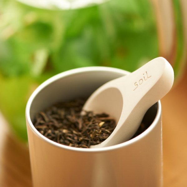 画像1: 【Soil】茶さじ (1)