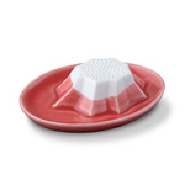 画像3: 富士山おろし (3)