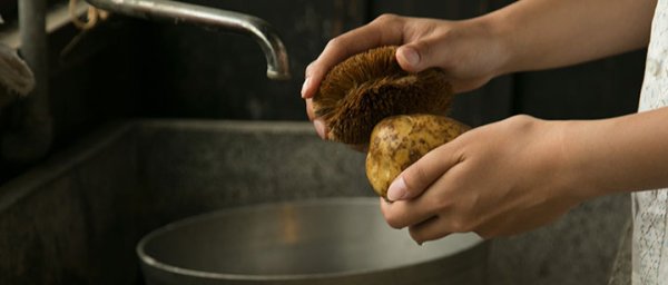 画像4: 【亀の子束子】亀の子束子１号　 (4)