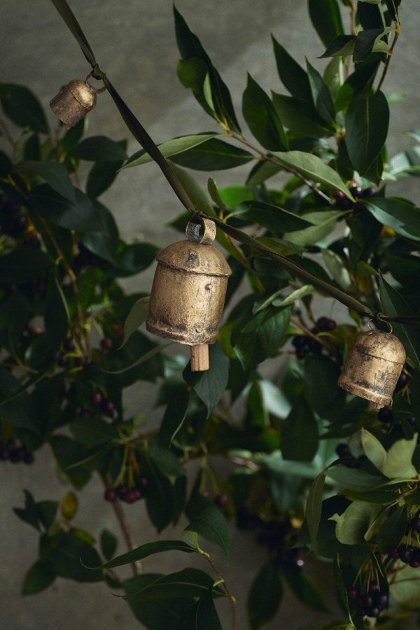 画像2: ノアベルS.M.L (2)