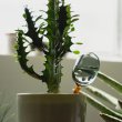 画像2: TWO TONE WATER DISPENSER（2SIZE） (2)